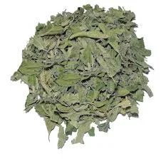 ورق سدر