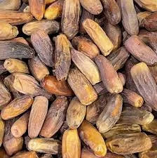 بلح سايب