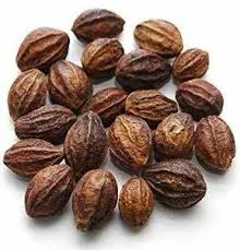 بلح كابلي