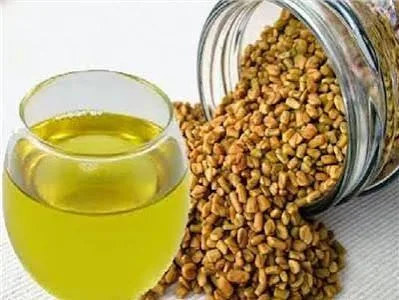 حلبه حصا